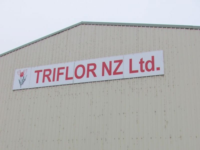 2016 International Tour, NZ, Triflor NZ Ltd